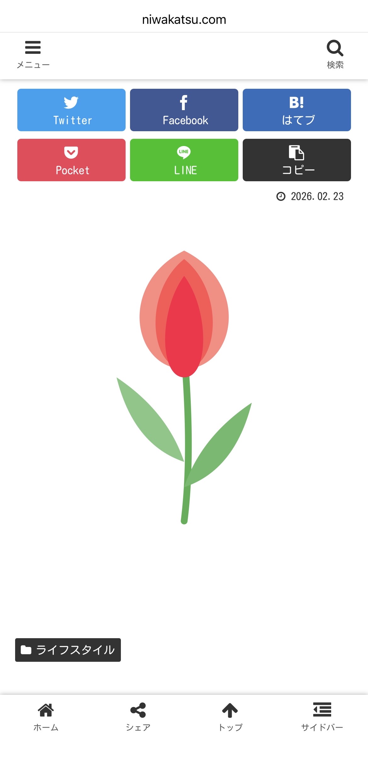 チューリップSVGコードエリア