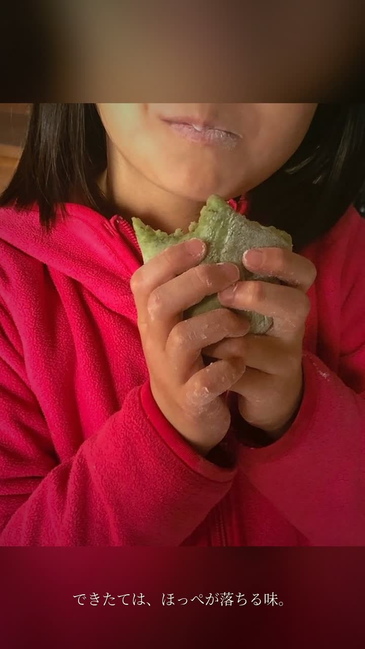 2019年の写真が動画になった日|おばあちゃんと作ったよもぎもちの思い出